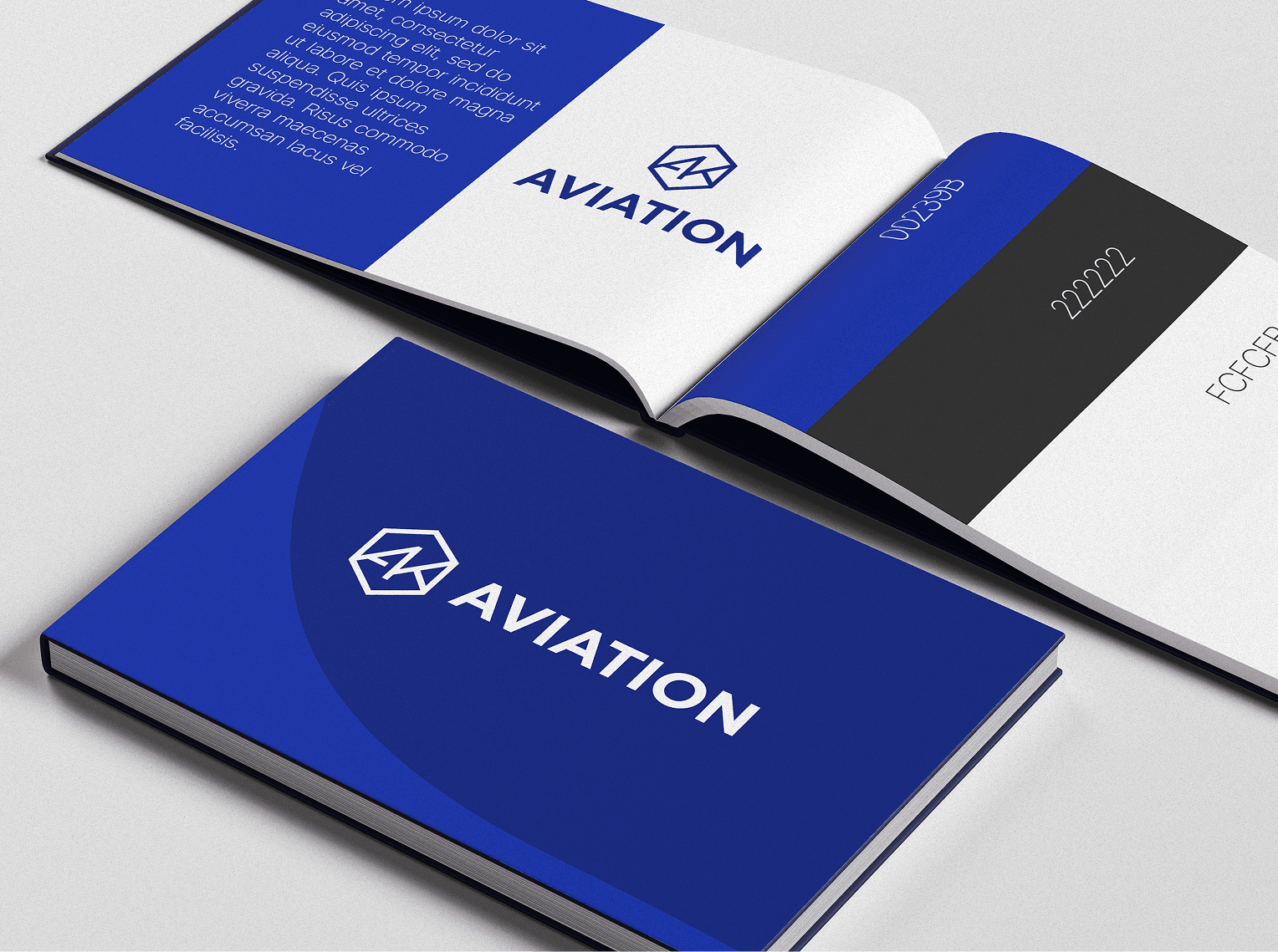 AK Aviation Book Illustration