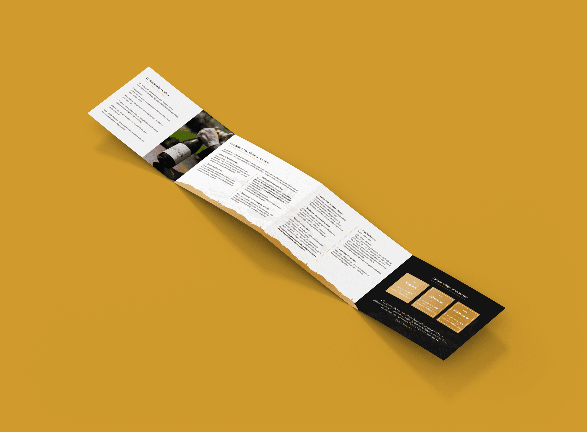 R&vdH Website Illustration